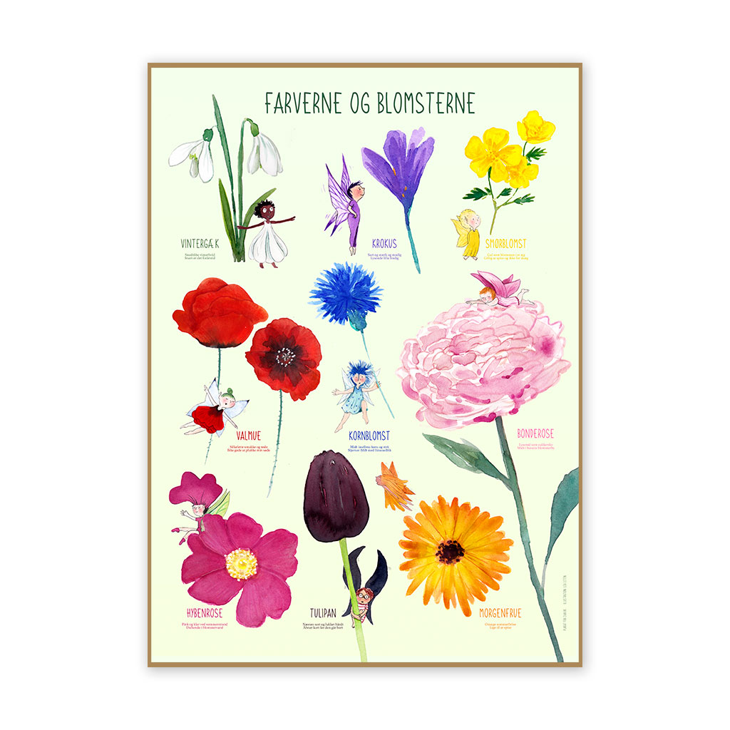 Billede af Plakat - Farverne og blomsterne
