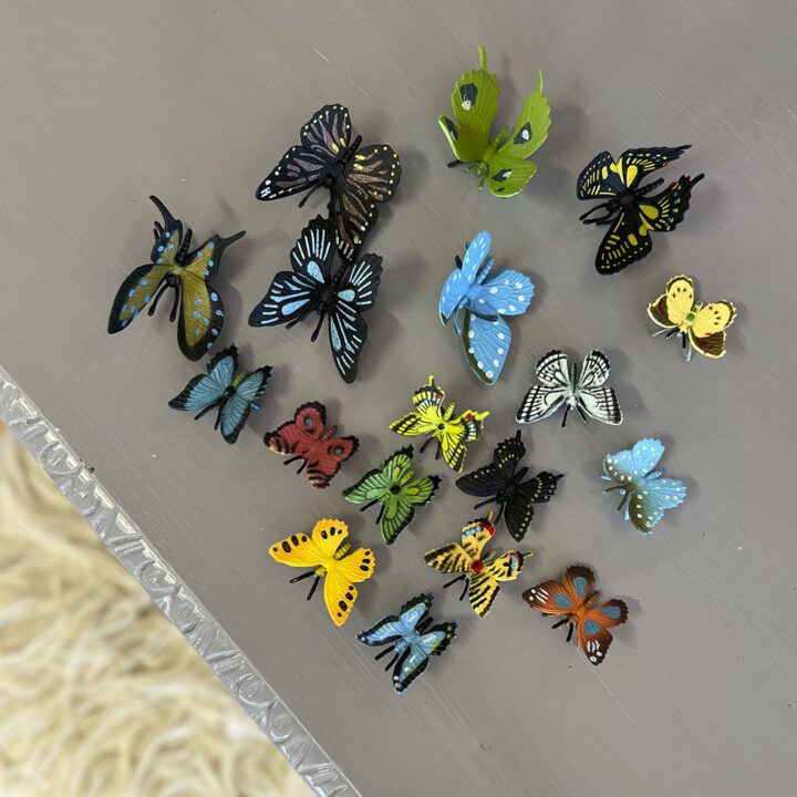 Rør med 18 blandede sommerfugle fra Insectlore. Indeholder flotte og farverige sommerfugle med mange detaljer. I naturen lever sommerfugle faktisk kun en enkelt uge, men med dette sæt holder de noget længere