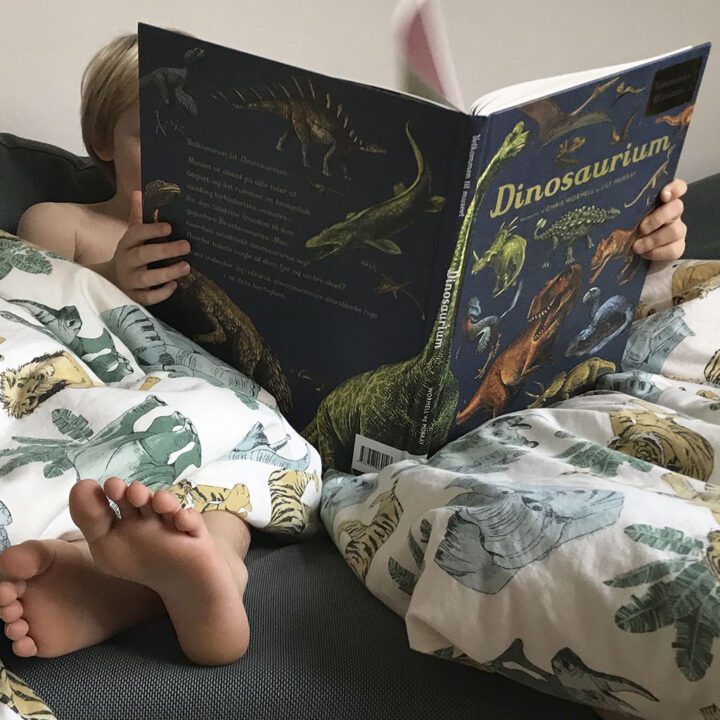 Stor og smuk bog med dinosaure. Dinosaurium er en stor Museems bog fra forlaget Mammut