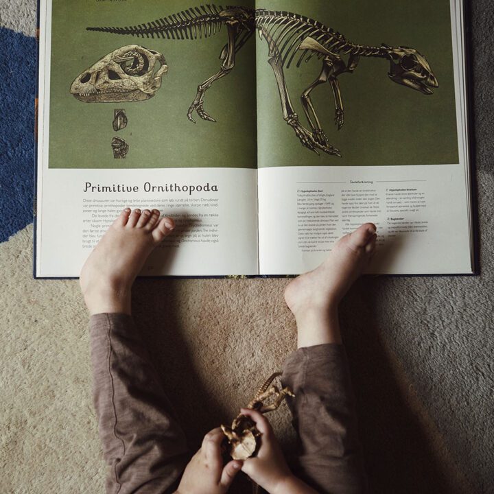 Stor og smuk bog med dinosaure. Dinosaurium er en stor Museems bog fra forlaget Mammut