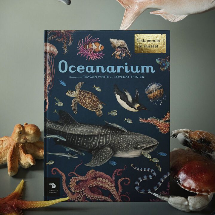 Oceanarium stor bog om havet og dets beboere
