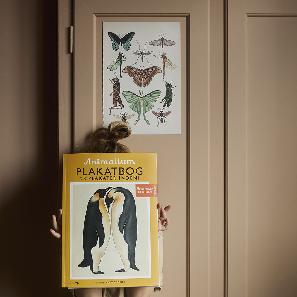 Animalium plakatbog med 28 plakater . Plakater med dyr i bog
